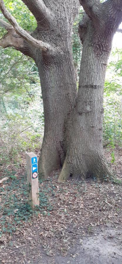 Haramara Affittacamere Vester-Skerninge Esterno foto